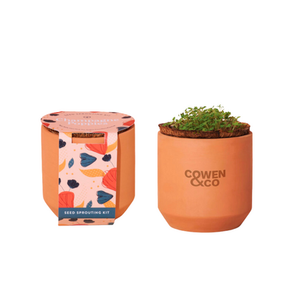 Tiny Terracotta Planter Kit Modern Sprout