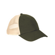 Olive/Oyster