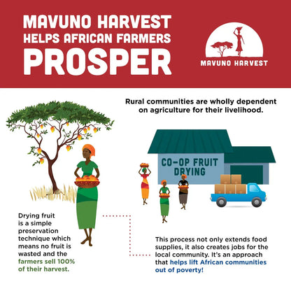 Organic Fruit Bites Mavuno Harvest Organics