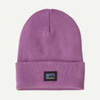 Brisk Purple