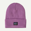 Brisk Purple