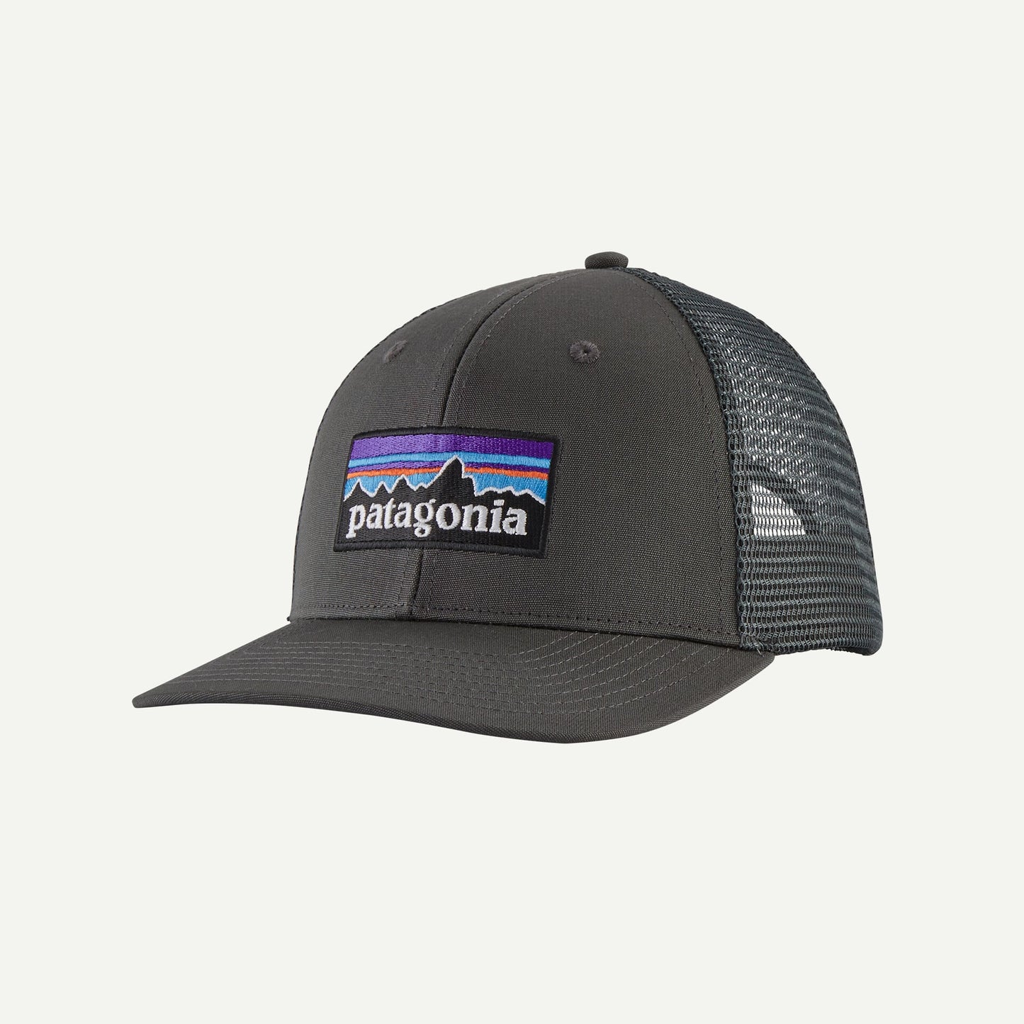 Patagonia P-6 Logo Trucker Hat Patagonia