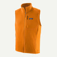 Autumn Orange