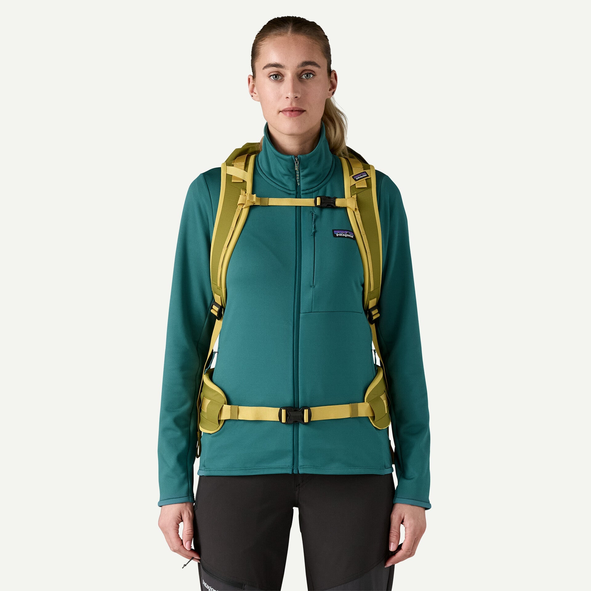Patagonia Ascensionist Pack 35L Patagonia