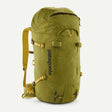 Graze Green
