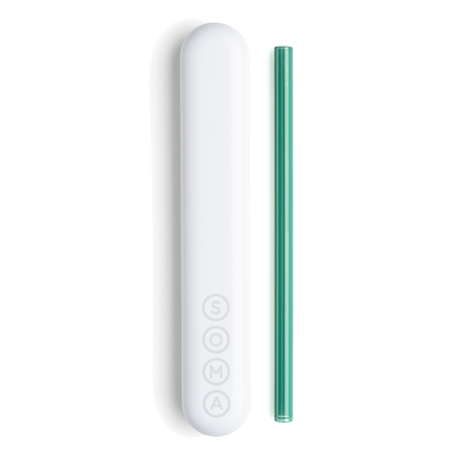 Glass Straw with Travel Case Soma