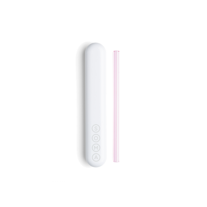 Glass Straw with Travel Case Soma