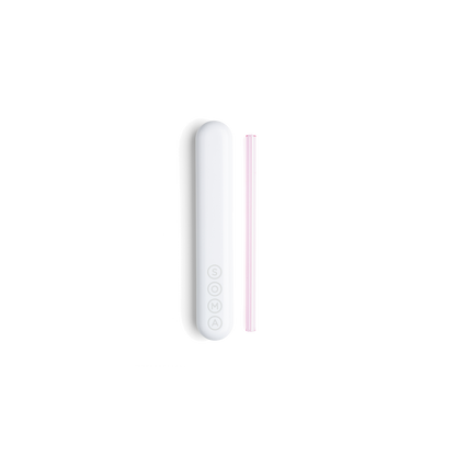 Glass Straw with Travel Case Soma