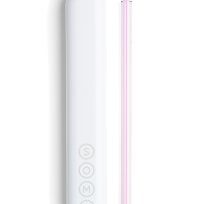 Glass Straw with Travel Case Soma