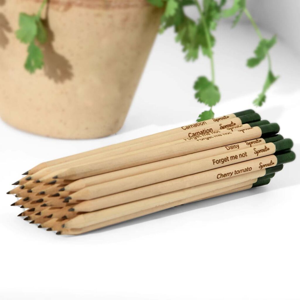 Plantable Pencils - 3-Pack with Customized Box - EarthHero Corporate Gifting and Custom Swag