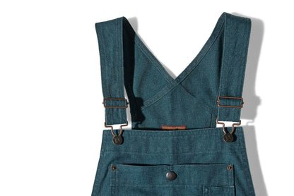 Patagonia W's All Seasons Bib Overalls - Reg Patagonia