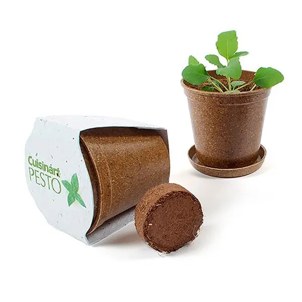 Custom Mini Planting Kit with Seed Paper  Wrap Bloomin