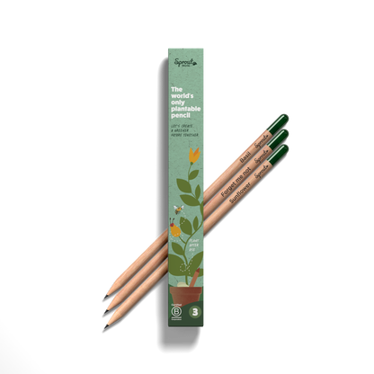 Plantable Pencils - 3-Pack with Customized Box - EarthHero Corporate Gifting and Custom Swag
