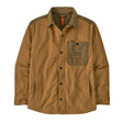 Coriander Brown