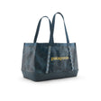 Sastrugi: Summit Blue