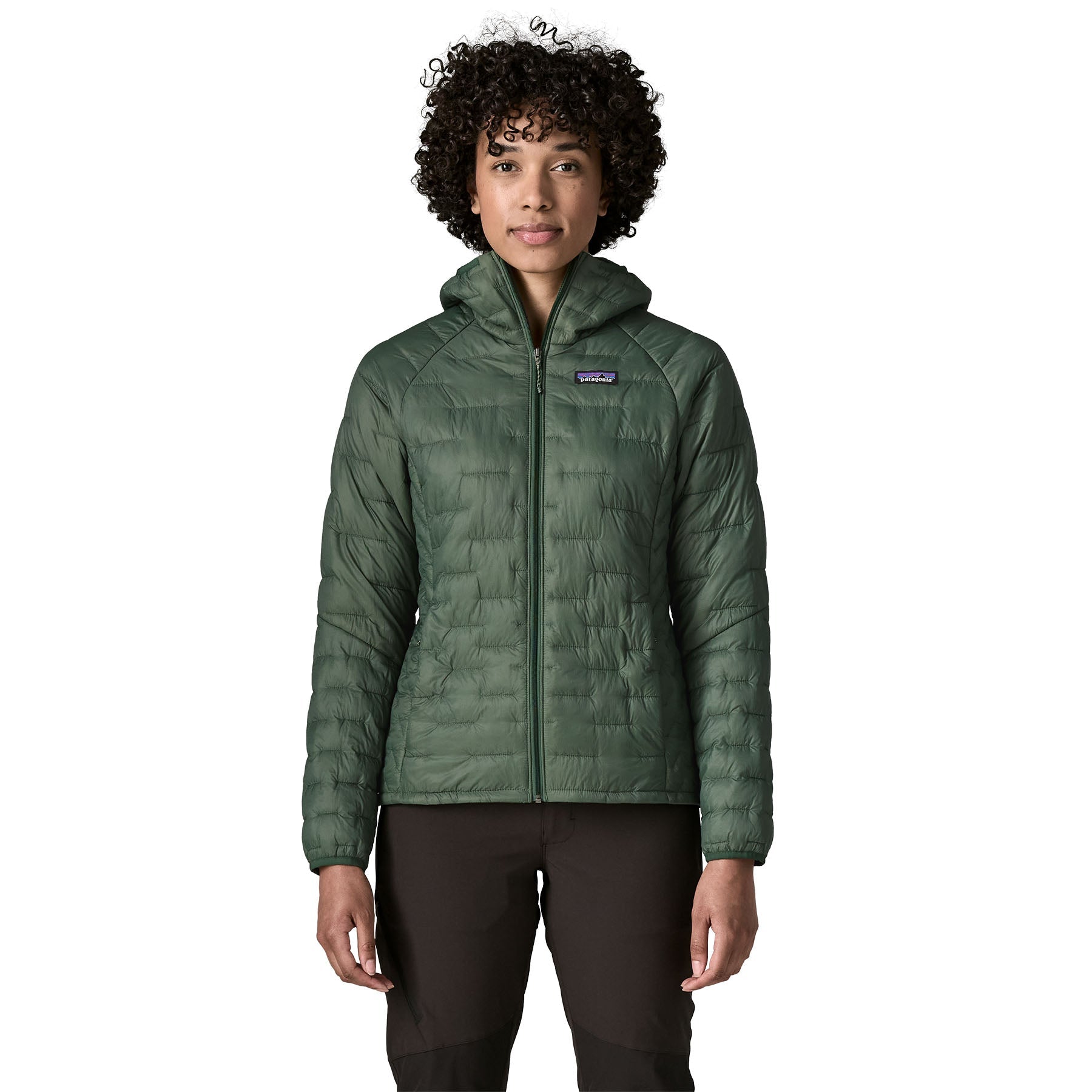 Patagonia W's Micro Puff® Hoody Patagonia