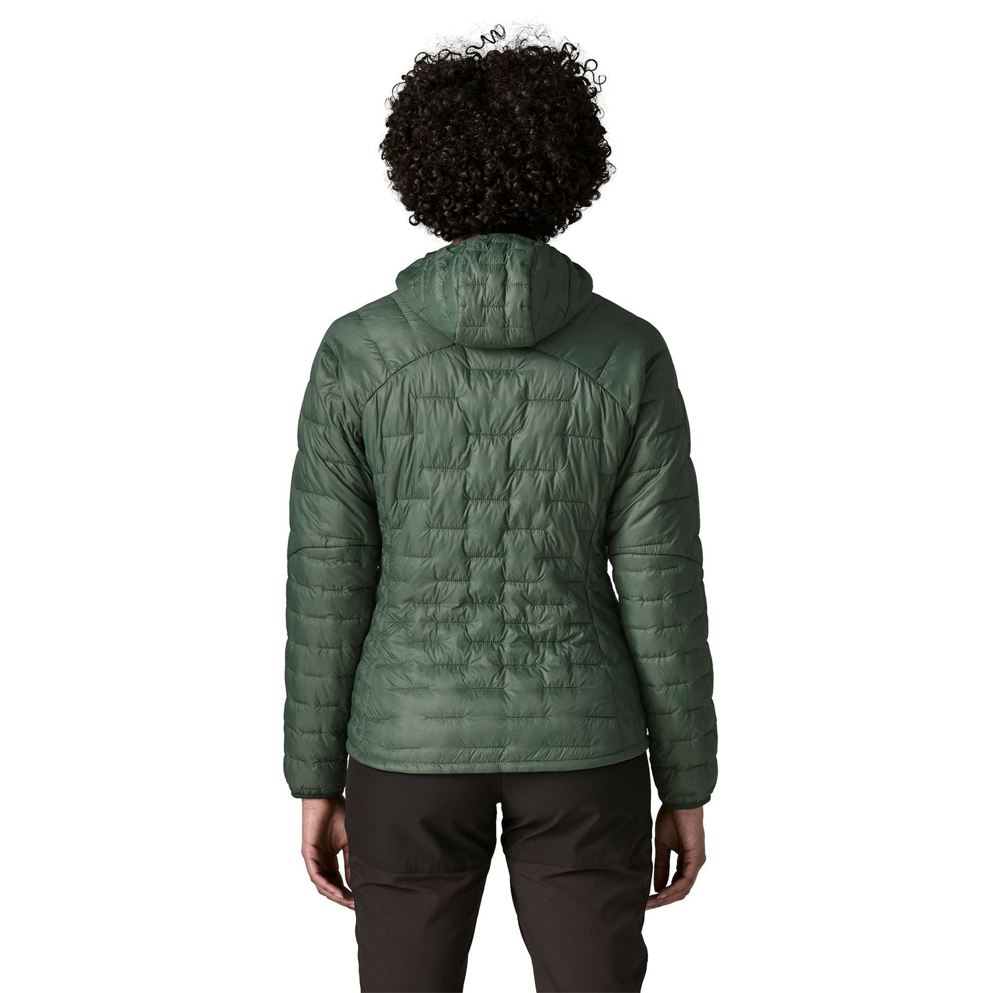 Patagonia W's Micro Puff® Hoody Patagonia