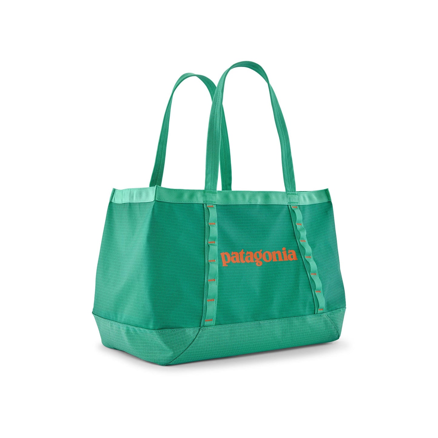 Patagonia Black Hole Tote 25L Patagonia