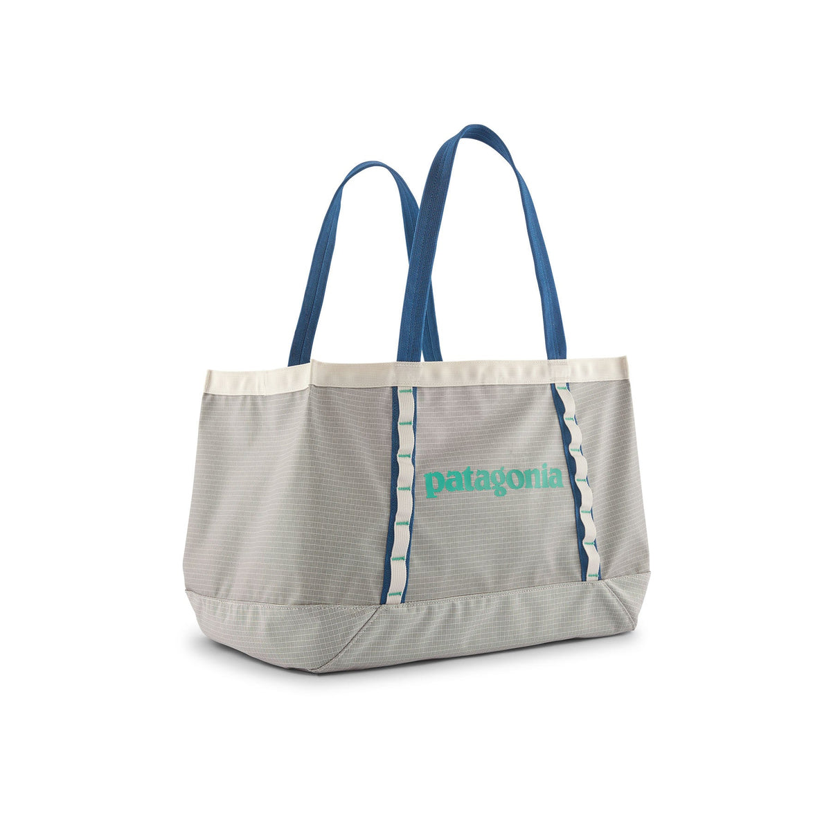 Patagonia Black Hole Tote 25L Patagonia