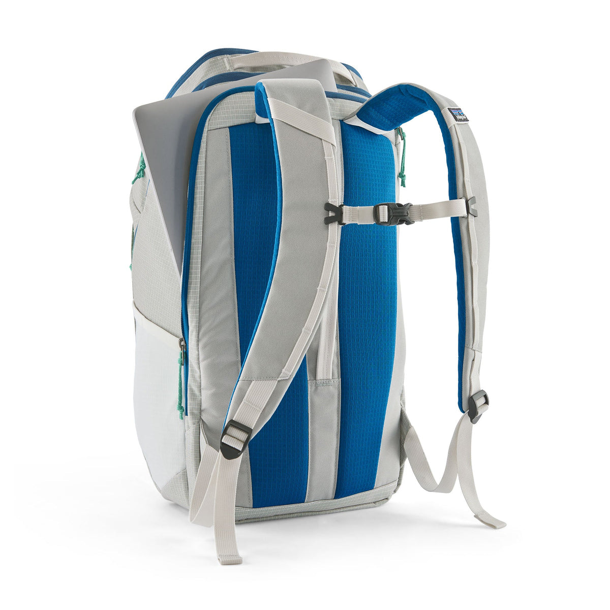 Patagonia Black Hole Pack 32L Patagonia