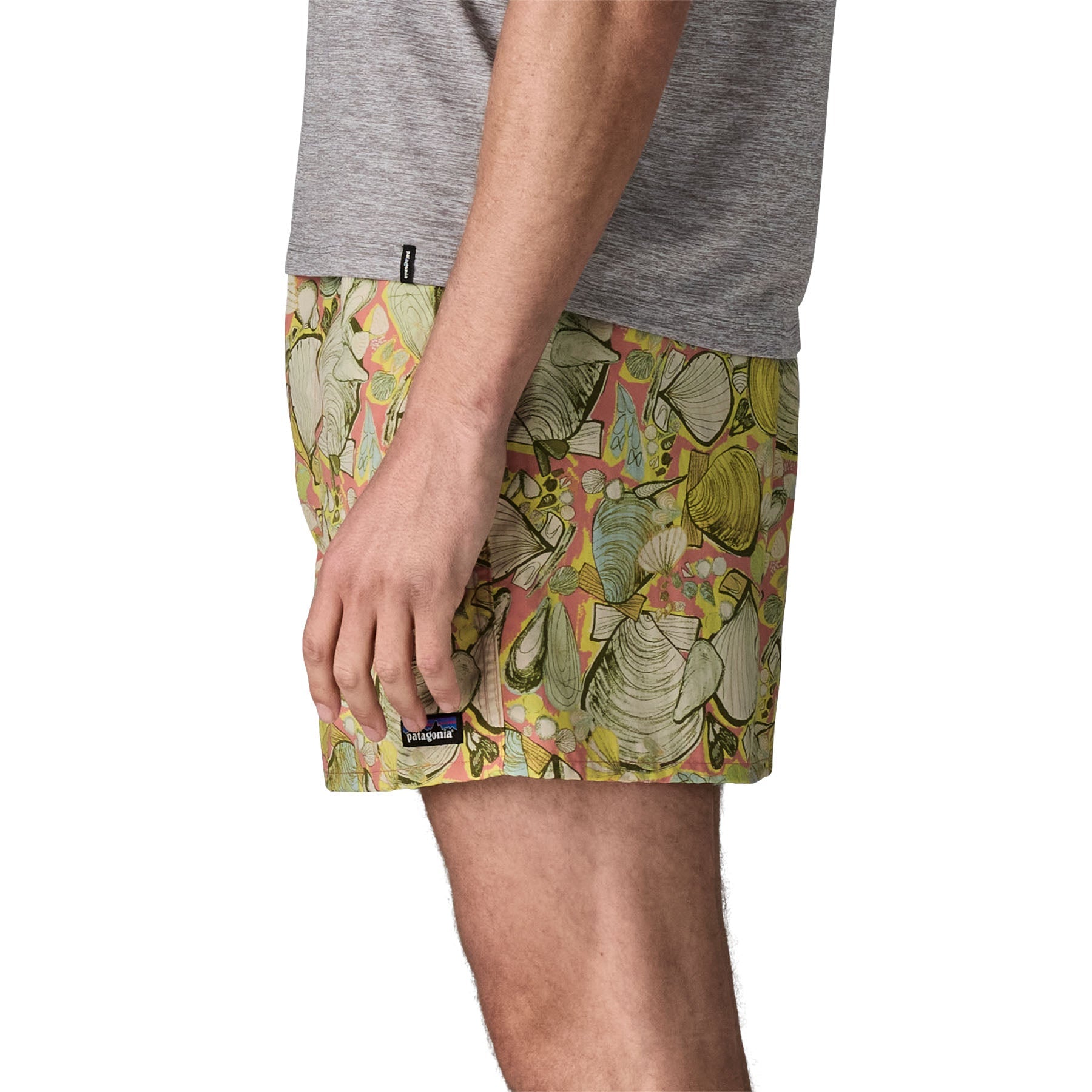 Patagonia M's Baggies Shorts - 5 in Patagonia