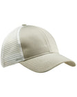 Dolphin/White