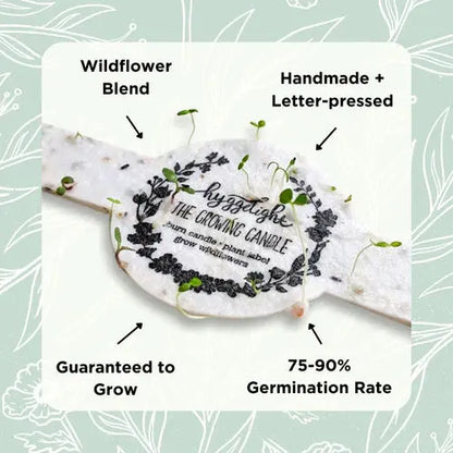 Greta Vegan Soy Candle + Planter - EarthHero Corporate Gifting and Custom Swag