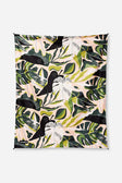 Monstera Green Pink