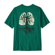 Gumtree Green