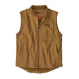 Coriander Brown
