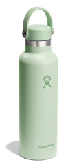 Aloe